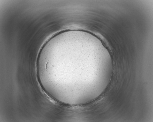 X0000066971191200604142133