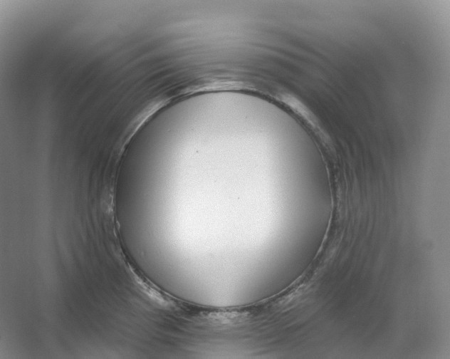 X0000066971193200604142133