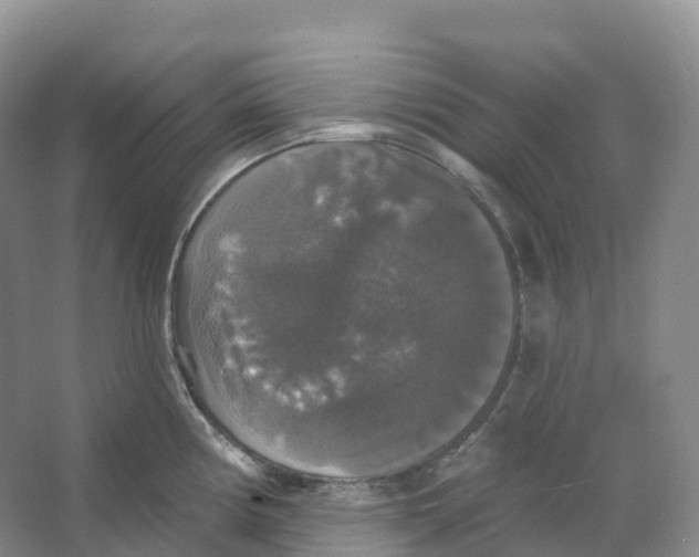 X0000066971194200604142133