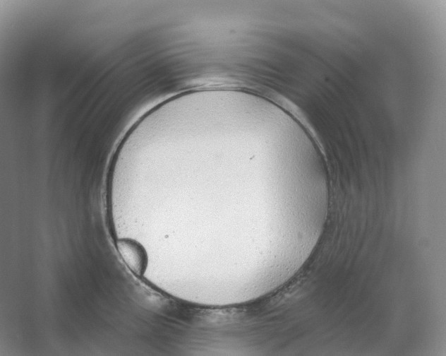 X0000066971195200604142133