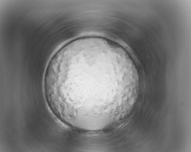 X0000066971199200604142133