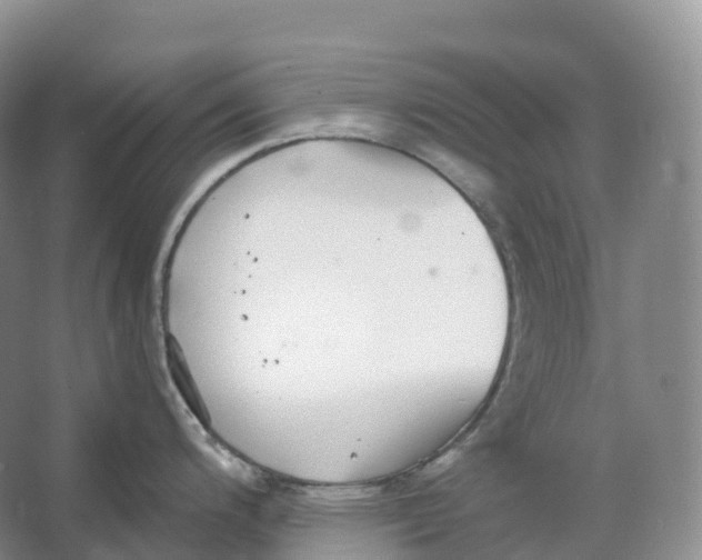 X0000066971200200604142133