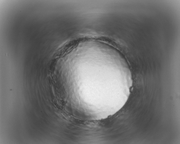 X0000066971205200604142132