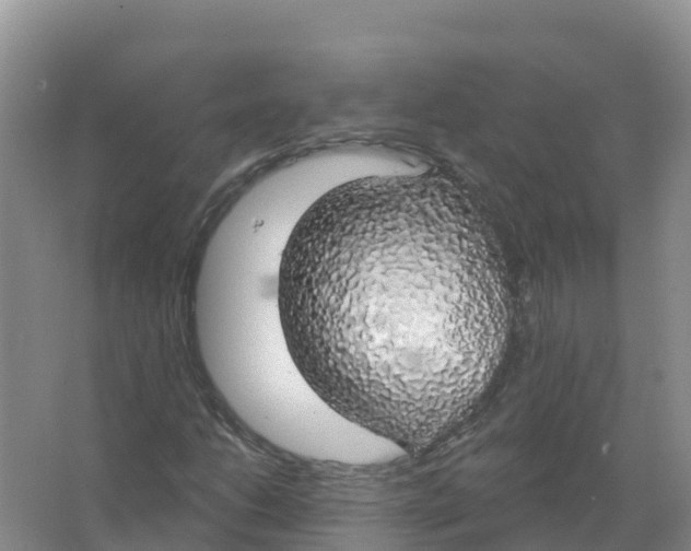 X0000066971206200604142132