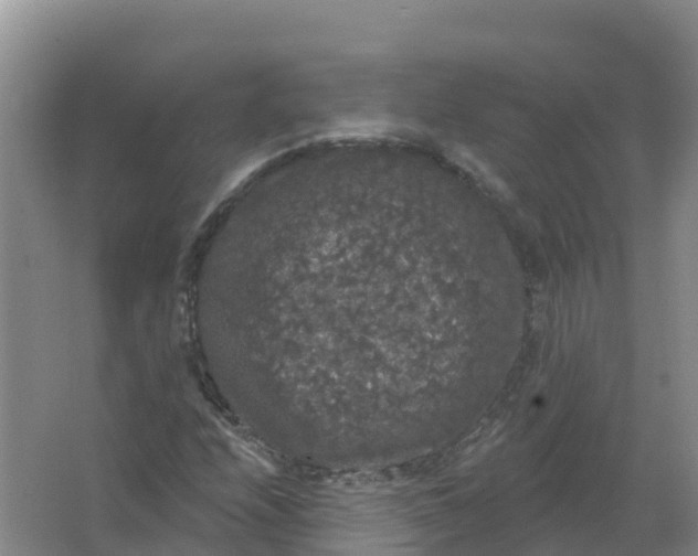 X0000066971208200604142132