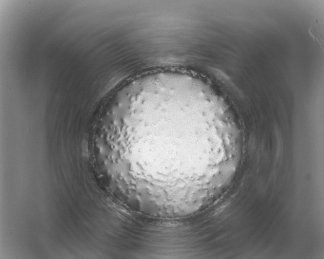 X0000066971209200604142132