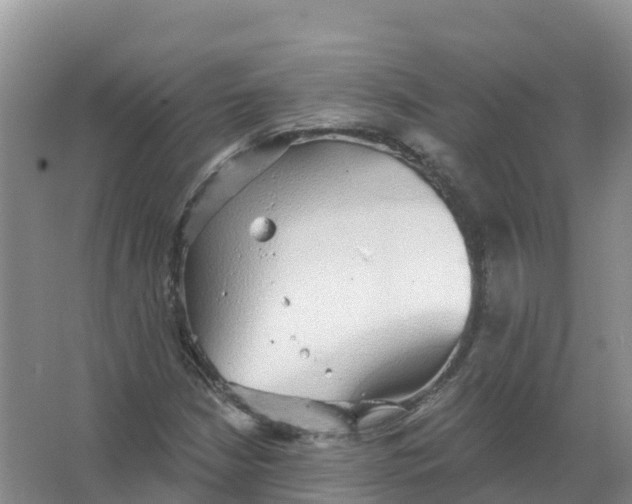 X0000066971210200604142132