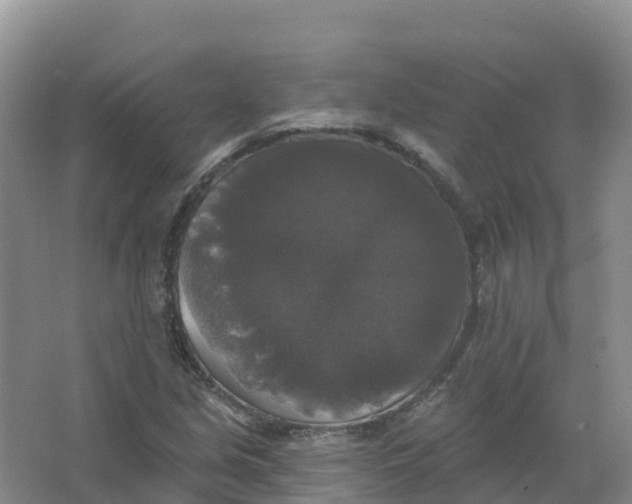 X0000066971213200604142132