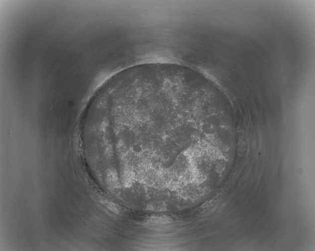 X0000066971215200604142132