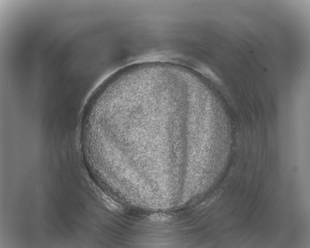 X0000066971216200604142132