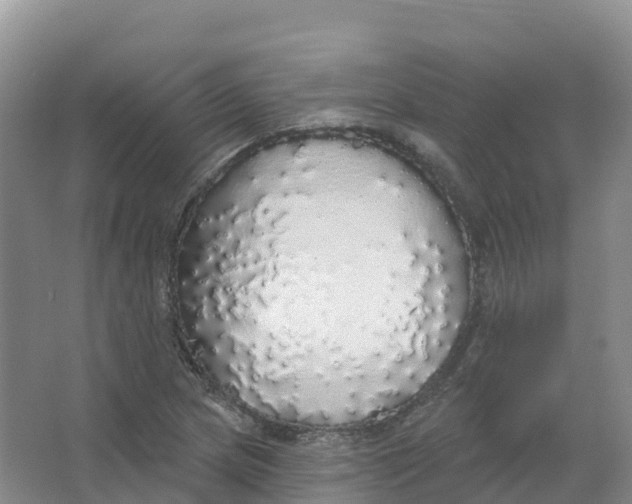 X0000066971217200604142132