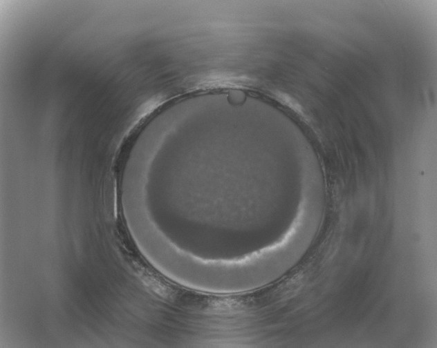 X0000066971219200604142132