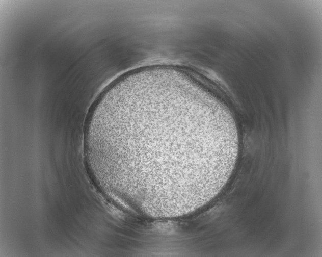 X0000066971220200604142132