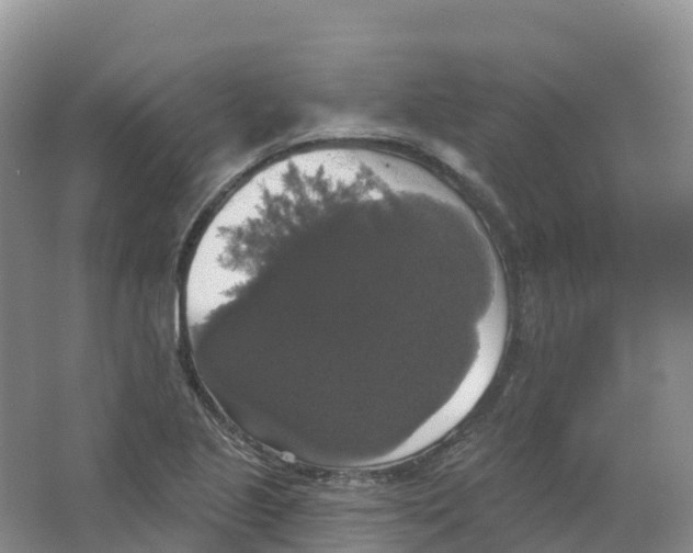 X0000066971221200604142132