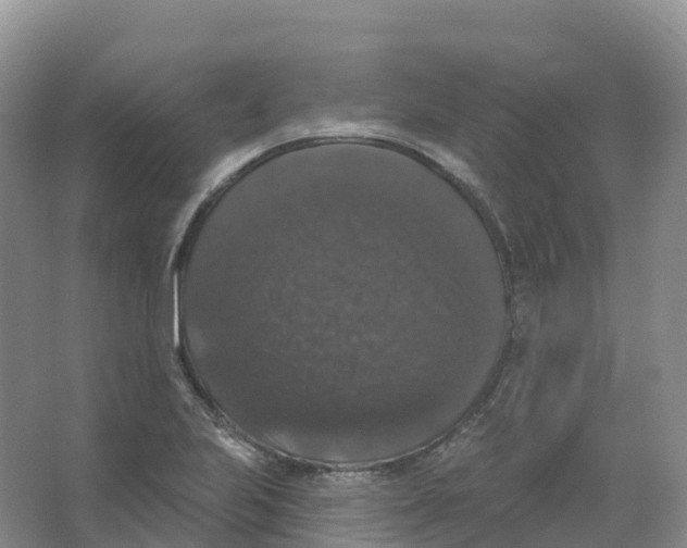 X0000066971223200604142132