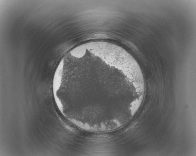 X0000066971225200604142132