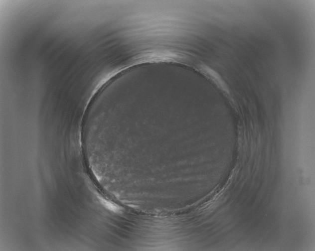 X0000066971226200604142132