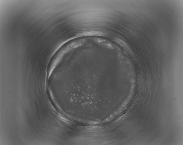 X0000066971228200604142132