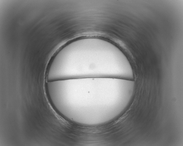 X0000066971229200604142132