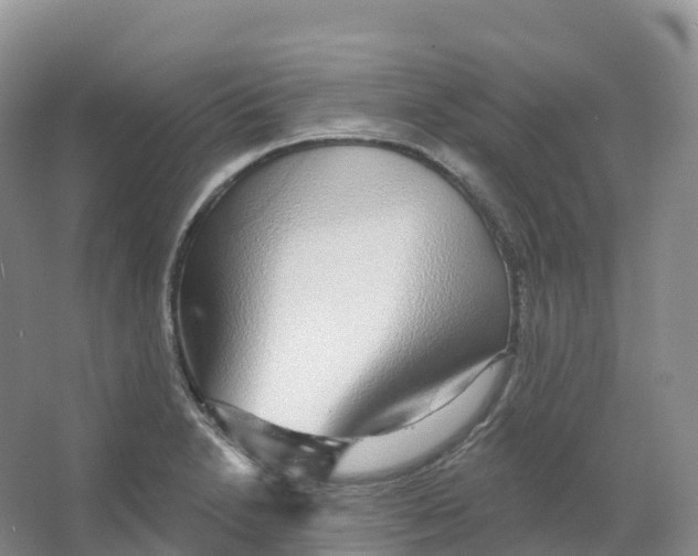 X0000066971230200604142132