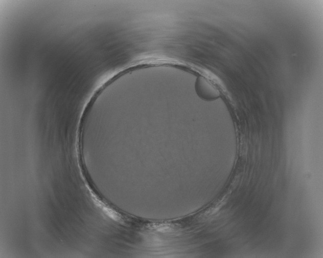 X0000066971231200604142132