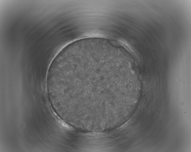 X0000066971236200604142132