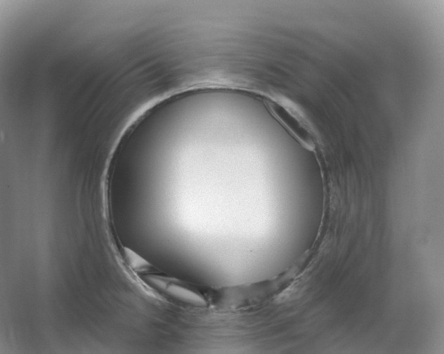 X0000066971238200604142132