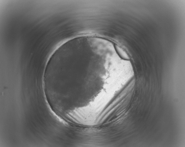 X0000066971239200604142132