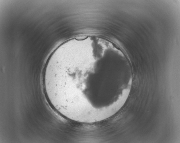 X0000066971243200604142132