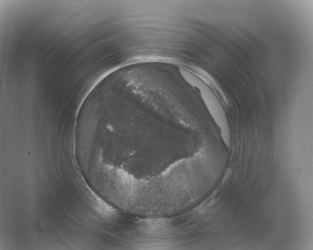 X0000066971244200604142133