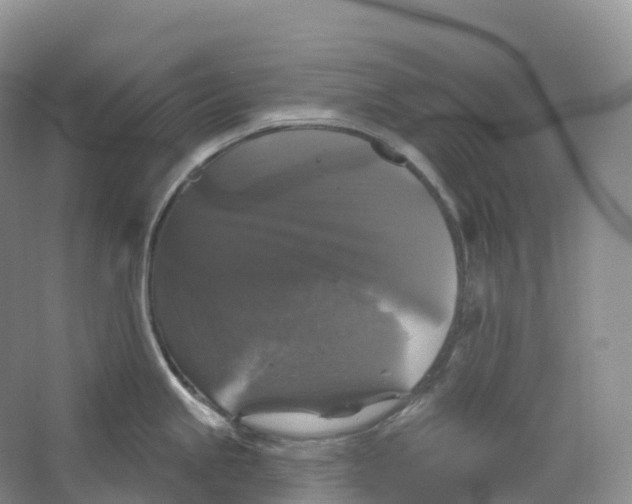 X0000066971245200604142133