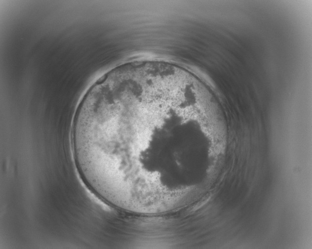 X0000066971247200604142133