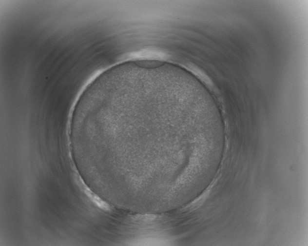 X0000066971248200604142133