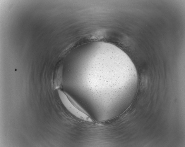 X0000066971250200604142132