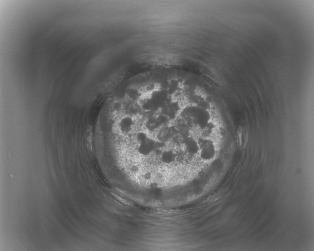 X0000066971251200604142132