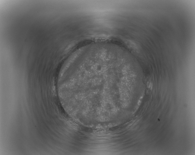 X0000066971252200604142132