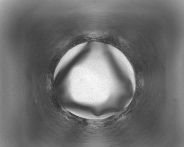 X0000066971253200604142132