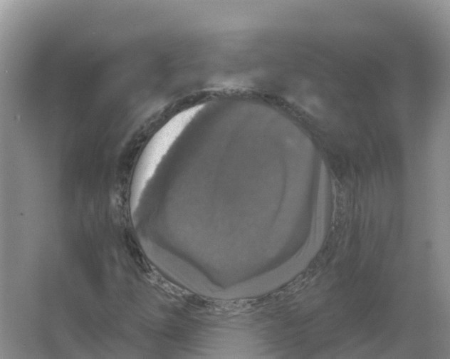 X0000066971254200604142132