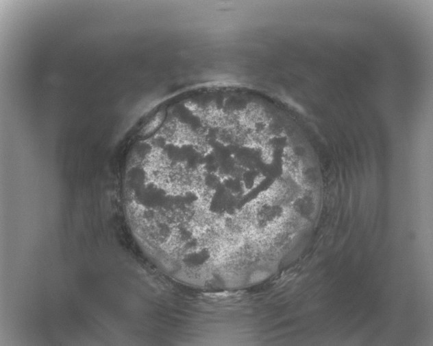 X0000066971255200604142132