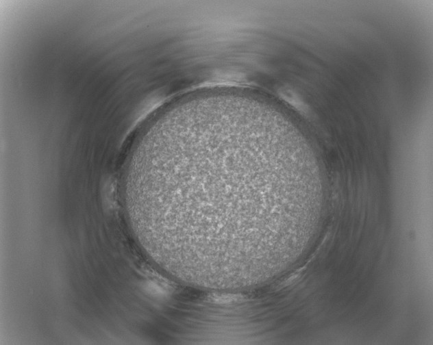 X0000066971258200604142132