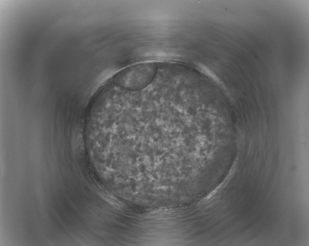 X0000066971259200604142132