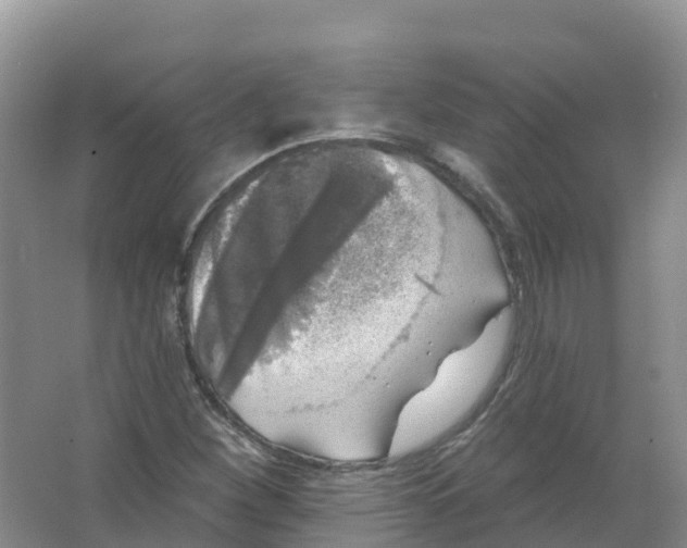 X0000066971260200604142132