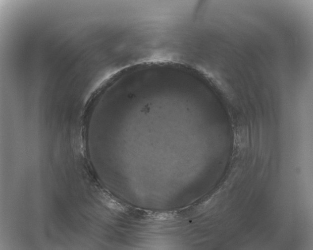 X0000066971262200604142132