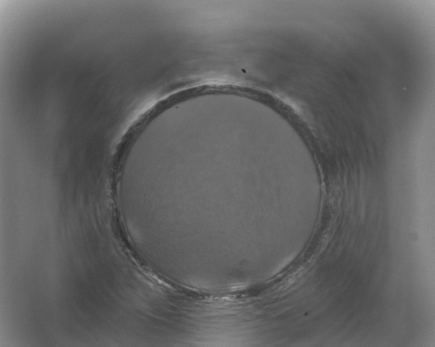 X0000066971263200604142132