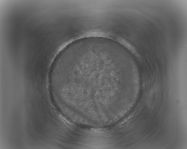 X0000066971264200604142132