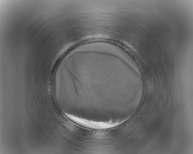 X0000066971266200604142131