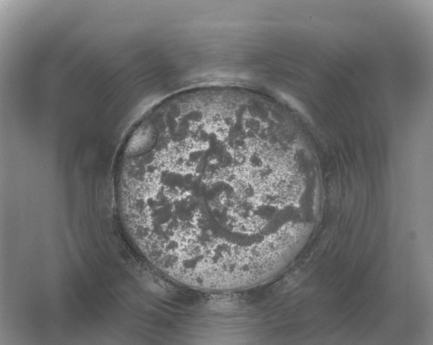 X0000066971267200604142131