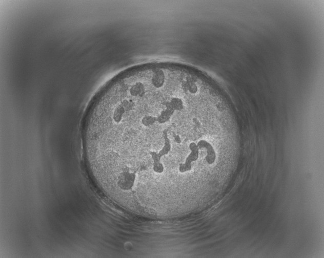 X0000066971271200604142131