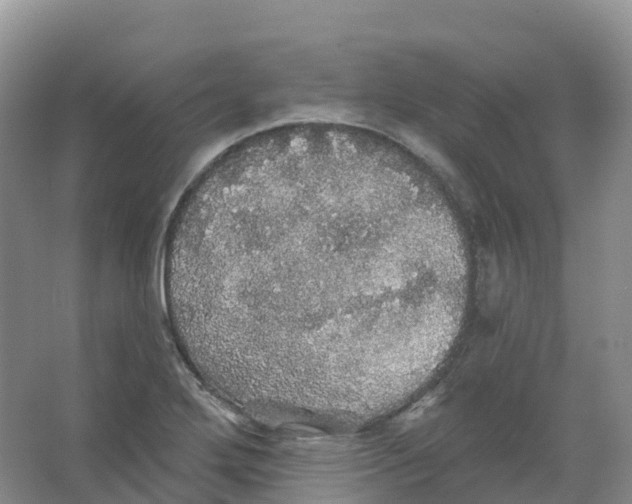 X0000066971272200604142131