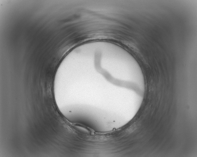 X0000066971273200604142131